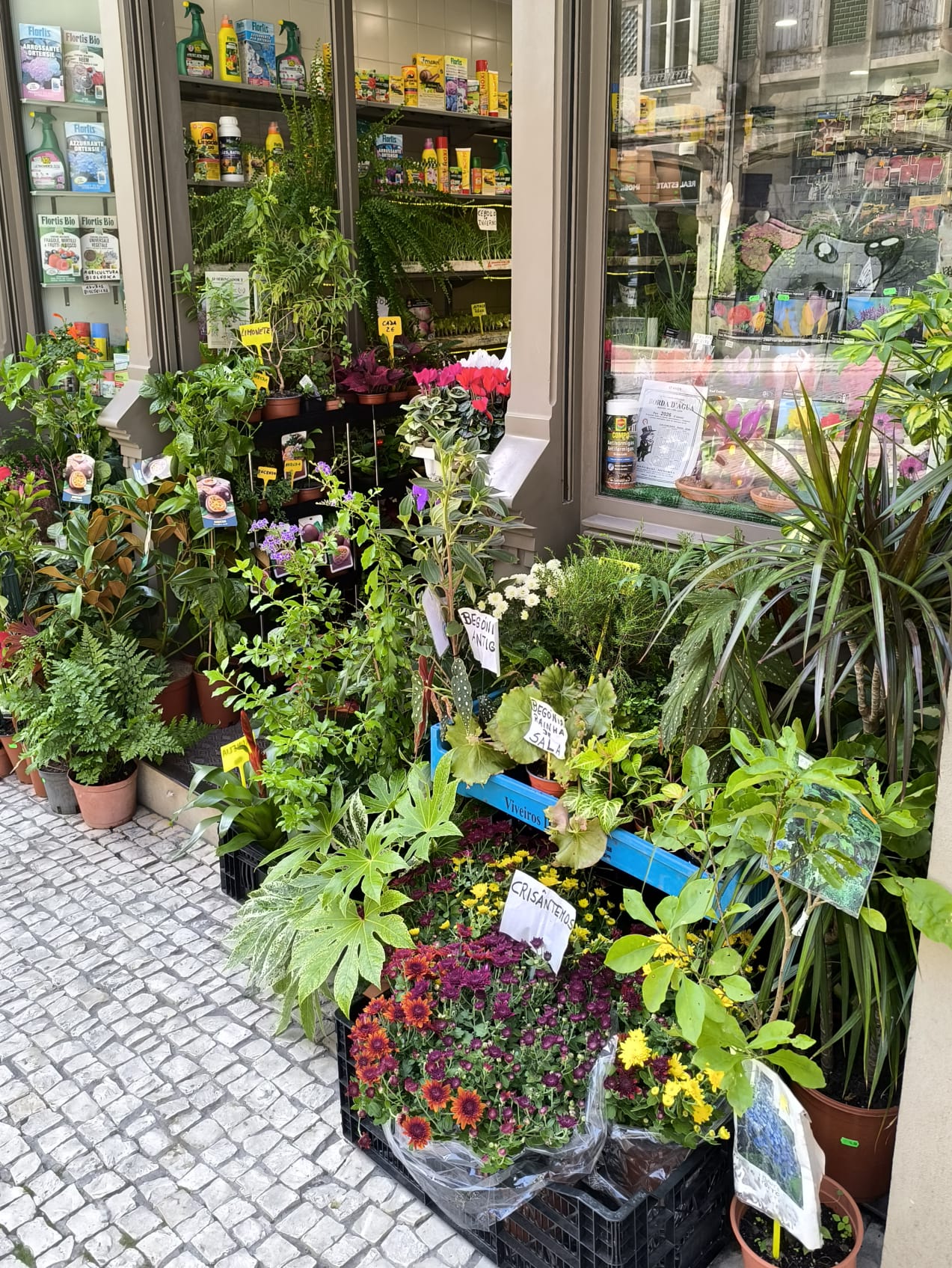 Plantas Vivas – Seleção Variada